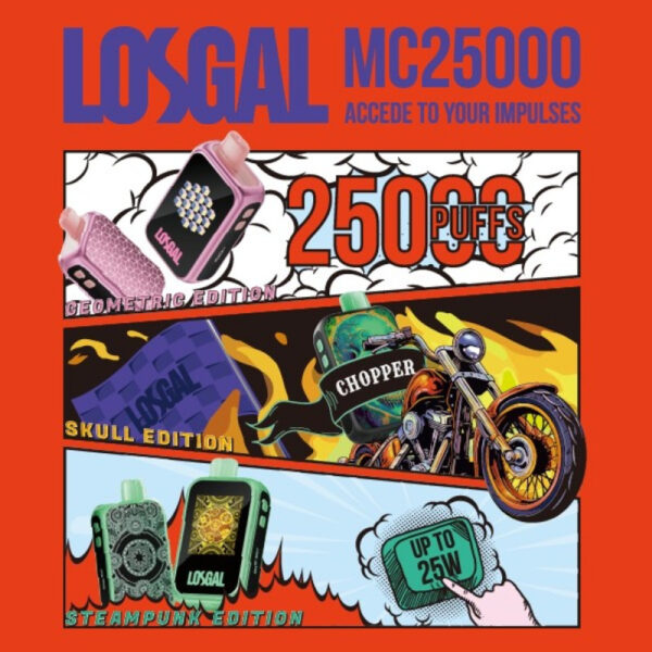 LOSGAL MC 25K - Image 3