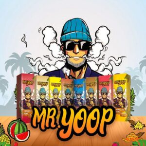 MR YOOP 30ML SALT